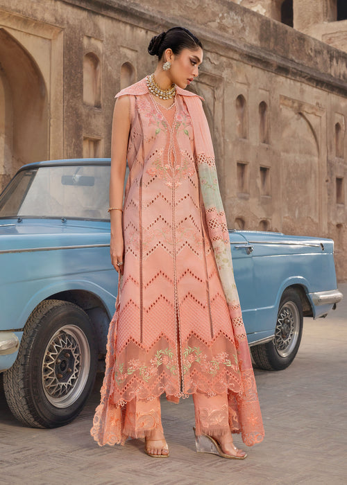 Saira Shakira Bloom Embroidered Lawn Unstitched 3Pc Suit D-07A AMBRE