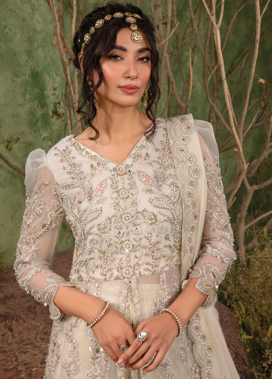 Rang Rasiya Chatoyer Embroidered Chiffon Unstitched 3Pc Suit D-07 Noor