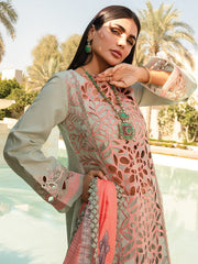 Rang Rasiya Carnation Embroidered Lawn Unstitched 3Pc Suit D-07 Orchid