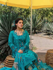 Rang Rasiya Carnation Embroidered Lawn Unstitched 3Pc Suit D-08 Lara