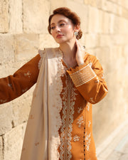 Rang Rasiya Carnation Embroidered Karandi Unstitched 3Pc Suit D-07 Cappucino