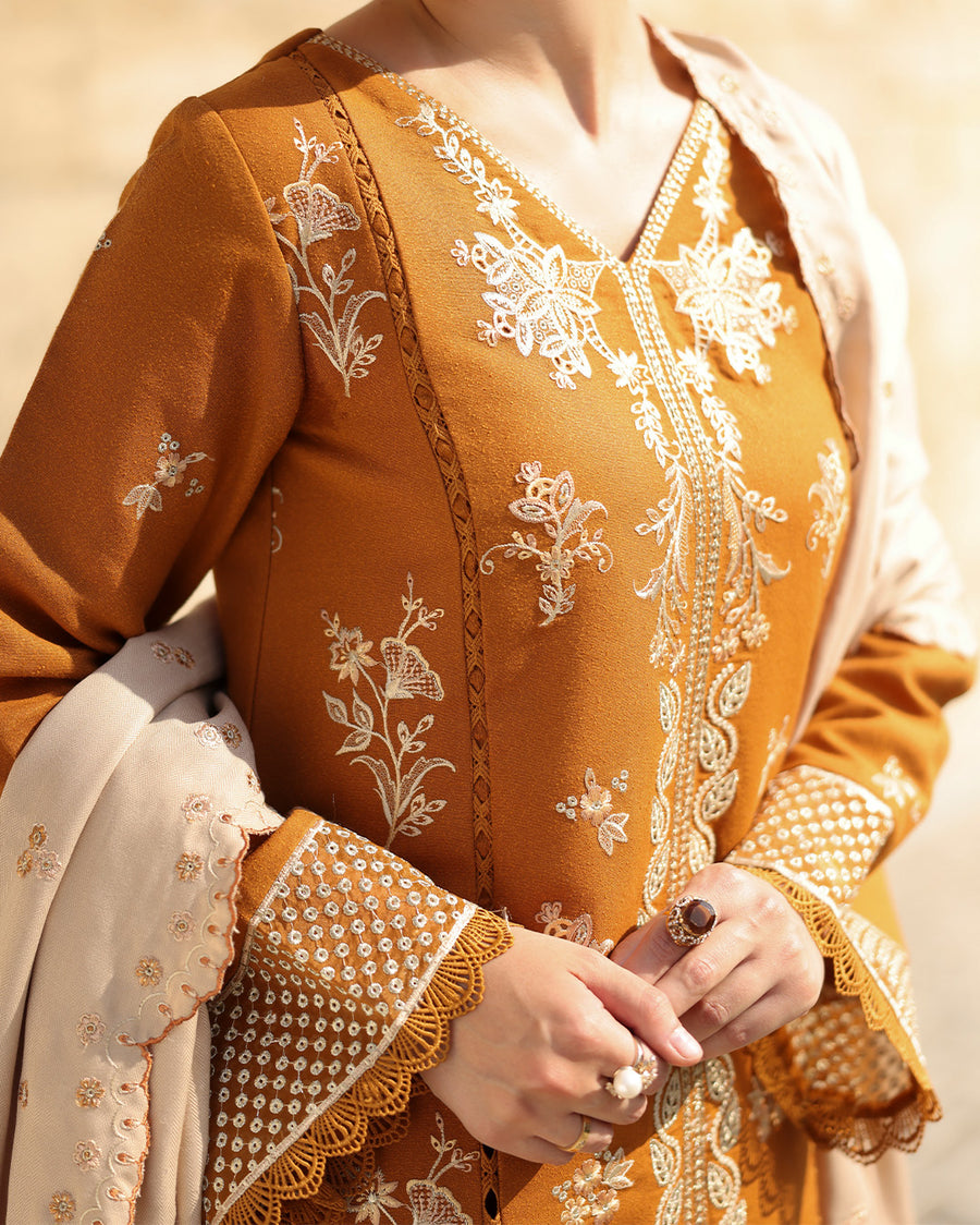 Rang Rasiya Carnation Embroidered Karandi Unstitched 3Pc Suit D-07 Cappucino