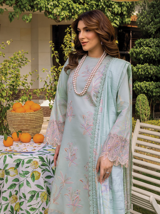 Rang Rasiya Florence Embroidered Lawn Unstitched 3Pc Suit D-10 SHIREEN