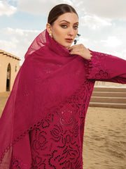 Rang Rasiya Premium Embroidered Lawn Unstitched 3Pc Suit D-10 RAMEEN