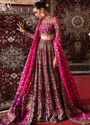 Afrozeh Hayat Unstitched Embroidered Net 3 Piece Suit D-10 ABIR