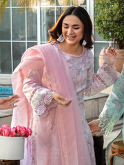 Rang Rasiya Florence Embroidered Lawn Unstitched 3Pc Suit D-11 RANIA