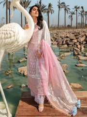 Rang Rasiya Premium Embroidered Lawn Unstitched 3Pc Suit D-12 HOORAIN