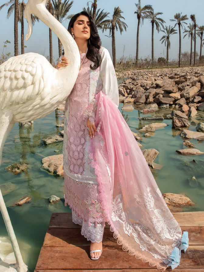 Rang Rasiya Premium Embroidered Lawn Unstitched 3Pc Suit D-12 HOORAIN
