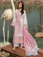 Rang Rasiya Premium Embroidered Lawn Unstitched 3Pc Suit D-12 HOORAIN