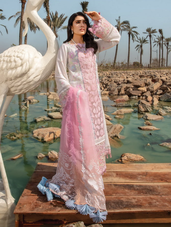Rang Rasiya Premium Embroidered Lawn Unstitched 3Pc Suit D-12 HOORAIN