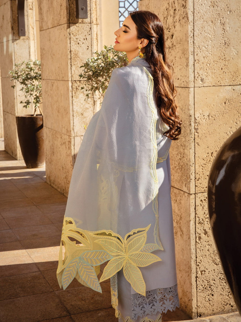 Rang Rasiya Premium Embroidered Lawn Unstitched 3Pc Suit D-04 ELNAZ