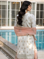 Rang Rasiya Florence Embroidered Lawn Unstitched 3Pc Suit D-14 MIRAAL