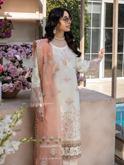 Rang Rasiya Florence Embroidered Lawn Unstitched 3Pc Suit D-14 MIRAAL