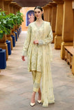 Chikankari Exclusive Embroidered Lawn Unstitched 3PC CH23-V2-D15