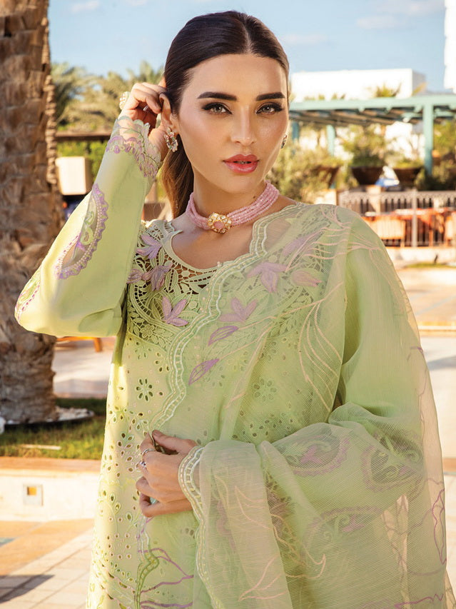 Rang Rasiya Premium Embroidered Lawn Unstitched 3Pc Suit D-10 AYLEEN