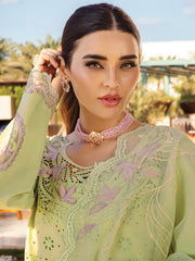Rang Rasiya Premium Embroidered Lawn Unstitched 3Pc Suit D-10 AYLEEN