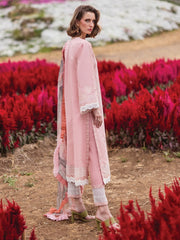 Mushq Hemline The Secerat Garden Unstitched Lawn 3Pc Suit HML24-1A Rosewood