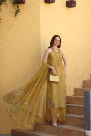 Noor by Saadia Asad Luxe Chikankari Unstitched Lawn 3Pc Suit D2-B