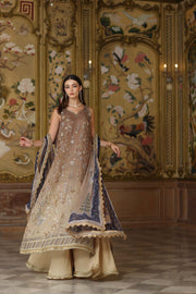 Noor by Saadia Asad Embroidered Cotton Net Unstitched 3Pc Suit D-02 Beige