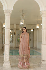 Noor by Saadia Asad Embroidered Cotton Net Unstitched 3Pc Suit D-04 Tea Pink