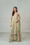 Noor by Saadia Asad Luxe Chikankari Unstitched Lawn 3Pc Suit D6-A