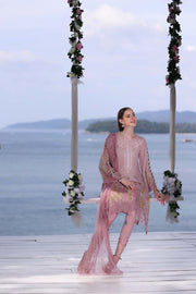 Noor by Saadia Asad Luxe PrintKari Unstitched Lawn 3Pc Suit D7-A
