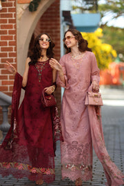 Noor by Saadia Asad Luxe Chikankari Unstitched Lawn 3Pc Suit D8-A