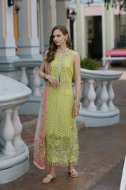 Noor by Saadia Asad Embroidered Lawn Unstitched 3Pc Suit D-09 Livia