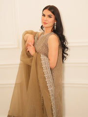 Faiza Faisal Mayal Festive Pret Embroidered Raw Silk 3Pc Suit - DINA
