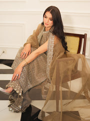 Faiza Faisal Mayal Festive Pret Embroidered Raw Silk 3Pc Suit - DINA