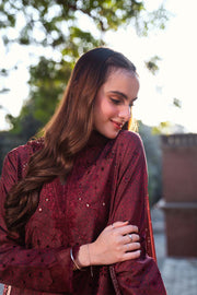 Neeshay Summer Lines Printkari Embroidered Lawn Unstitched 3Pc Suit - GARNET