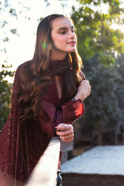 Neeshay Summer Lines Printkari Embroidered Lawn Unstitched 3Pc Suit - GARNET