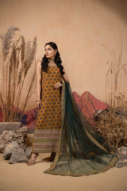 Hemstitch Afsana Vol-02 Embroidered Georgette Chiffon Stitched 3Pc Suit - SOFIANA