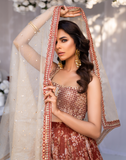 Hemstitch Afsana Embroidered Chiffon Lehanga Choli - Rose Blush