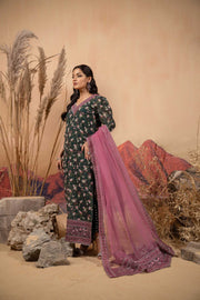 Hemstitch Afsana Vol-02 Embroidered Georgette Chiffon Stitched 3Pc Suit - SAIBA