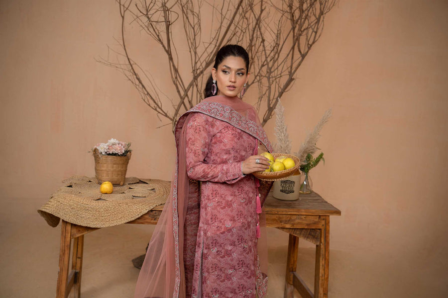 Hemstitch Afsana Vol-02 Embroidered Georgette Chiffon Stitched 3Pc Suit - EYANA