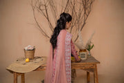 Hemstitch Afsana Vol-02 Embroidered Georgette Chiffon Stitched 3Pc Suit - EYANA