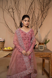 Hemstitch Afsana Vol-02 Embroidered Georgette Chiffon Stitched 3Pc Suit - EYANA