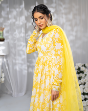 Hemstitch Afsana Embroidered Chiffon Pishwas - Snow Charm (A)