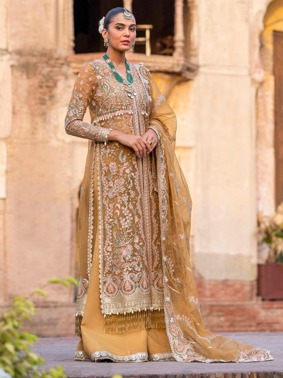 Afrozeh Dastangoi Unstitched Organza 3Pc Suit AWE-23-V1-09 SHAFAQ