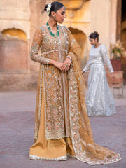 Afrozeh Dastangoi Unstitched Organza 3Pc Suit AWE-23-V1-09 SHAFAQ