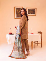 Faiza Faisal FNF Prints Unstitched Lawn 3Pc Suit - DUNE AURA