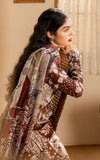 Asifa & Nabeel Meraki Vintage Embroidered Lawn Unstitched 3Pc Suit MVL25-07 Darcheeni