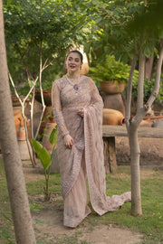 Noor by Azzal Embroidered Net Unstitched Saree D-04 Derya