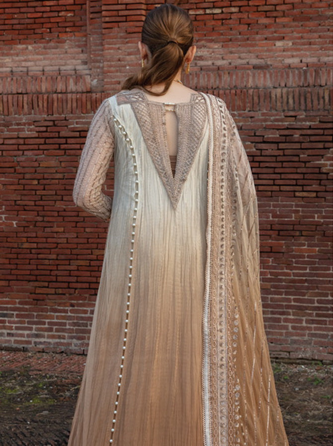 Rang Rasiya Shehnaiyan Embroidered Net Unstitched 3Pc Suit D-01 Roshni