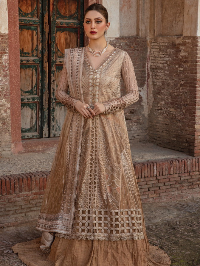 Rang Rasiya Shehnaiyan Embroidered Net Unstitched 3Pc Suit D-01 Roshni