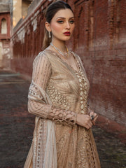 Rang Rasiya Shehnaiyan Embroidered Net Unstitched 3Pc Suit D-01 Roshni
