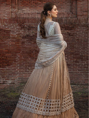 Rang Rasiya Shehnaiyan Embroidered Net Unstitched 3Pc Suit D-01 Roshni