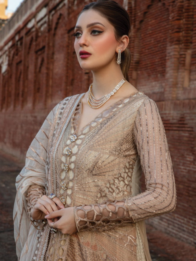 Rang Rasiya Shehnaiyan Embroidered Net Unstitched 3Pc Suit D-01 Roshni