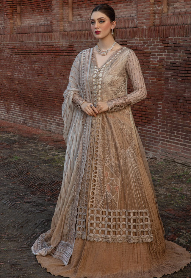 Rang Rasiya Shehnaiyan Embroidered Net Unstitched 3Pc Suit D-01 Roshni